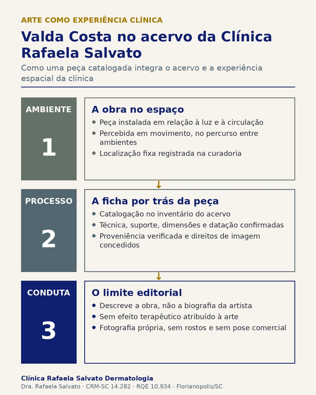 Infográfico — Valda Costa no acervo da Clínica Rafaela Salvato.